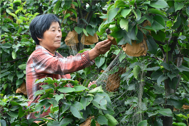 B90_8315_金山看图.jpg