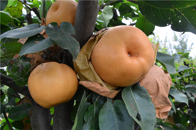 B90_8312_金山看图.jpg
