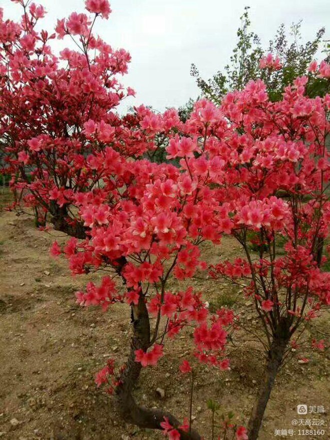 微信图片_20221008180220.jpg