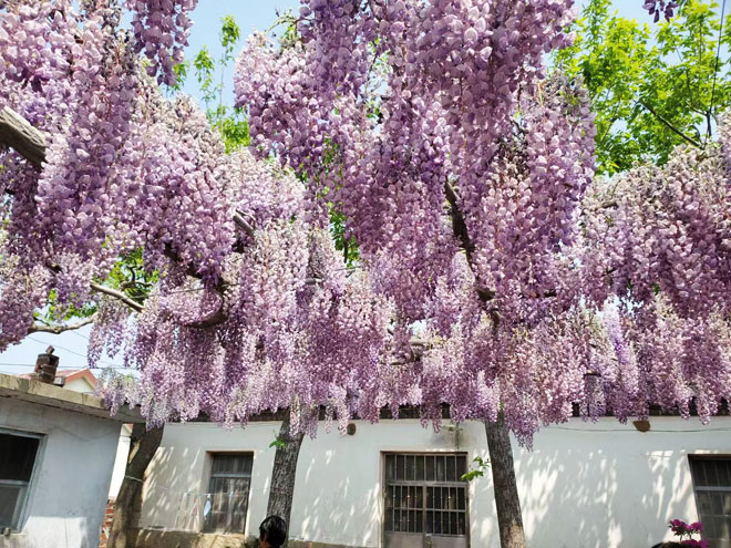 微信图片_20220504135315.jpg