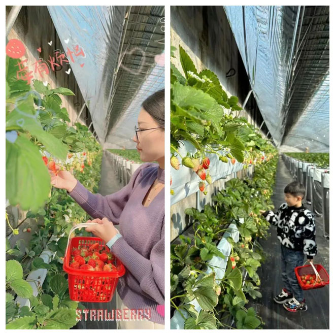 微信图片_20230105135506.jpg