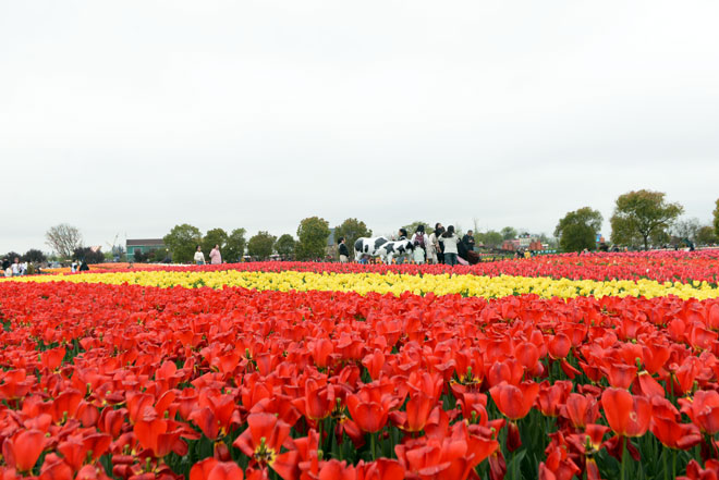 DSC_7783.jpg
