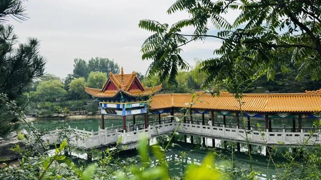 下载 (2).jpg